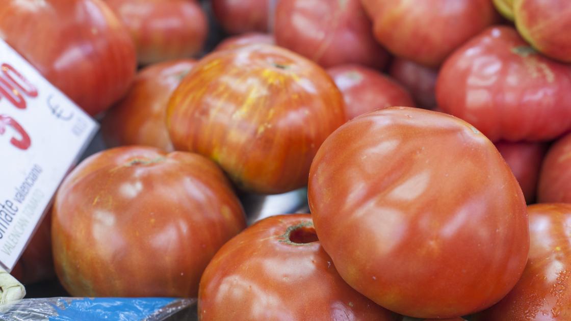 Tomate valenciano