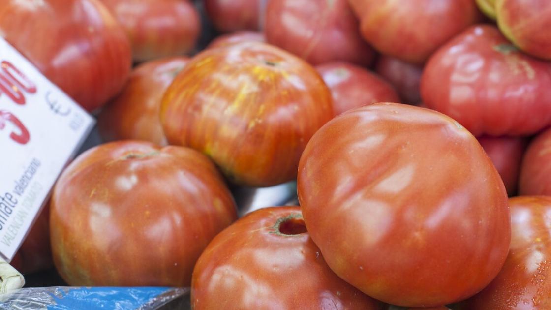 Tomate valenciano
