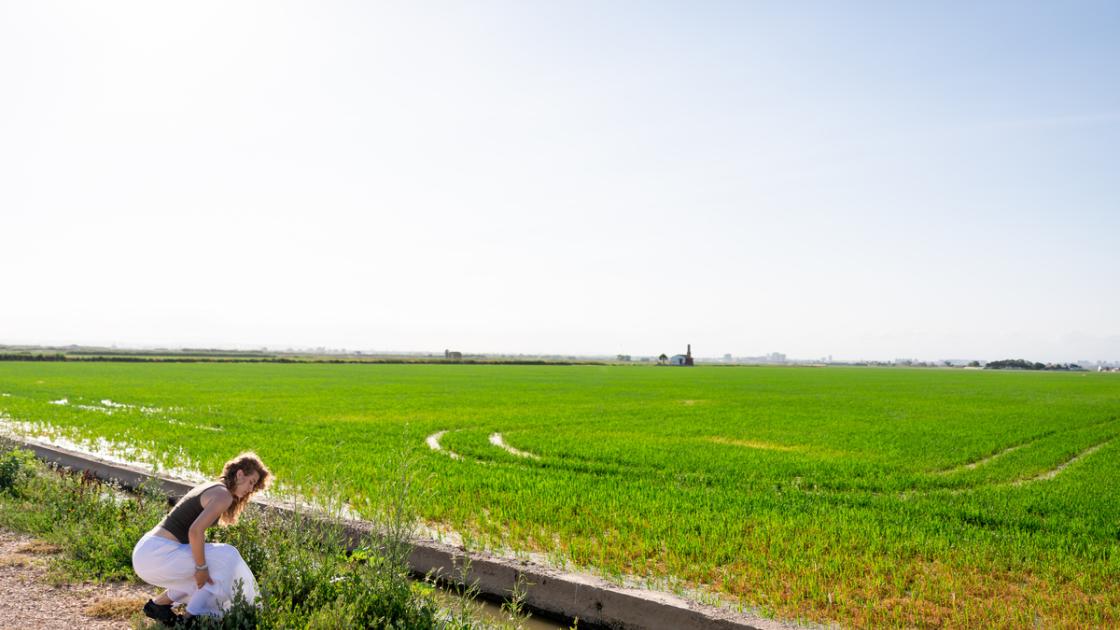 Albufera de Valencia