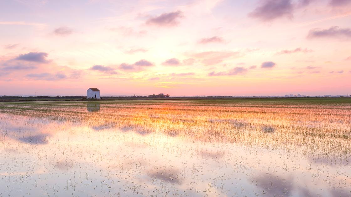 Albufera de Valencia