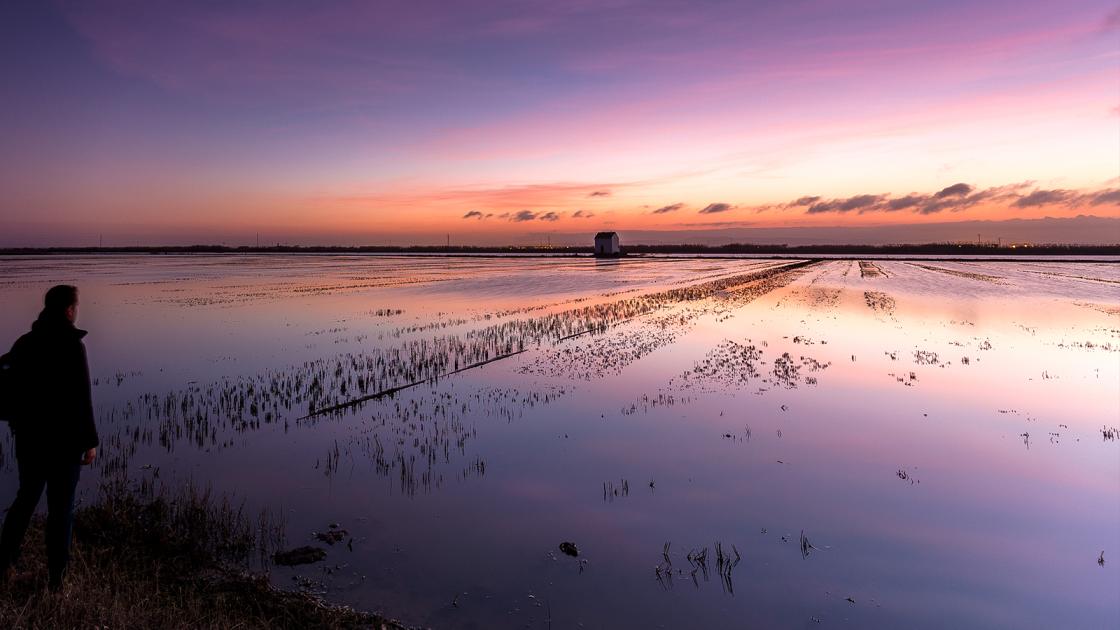 atardecer albufera