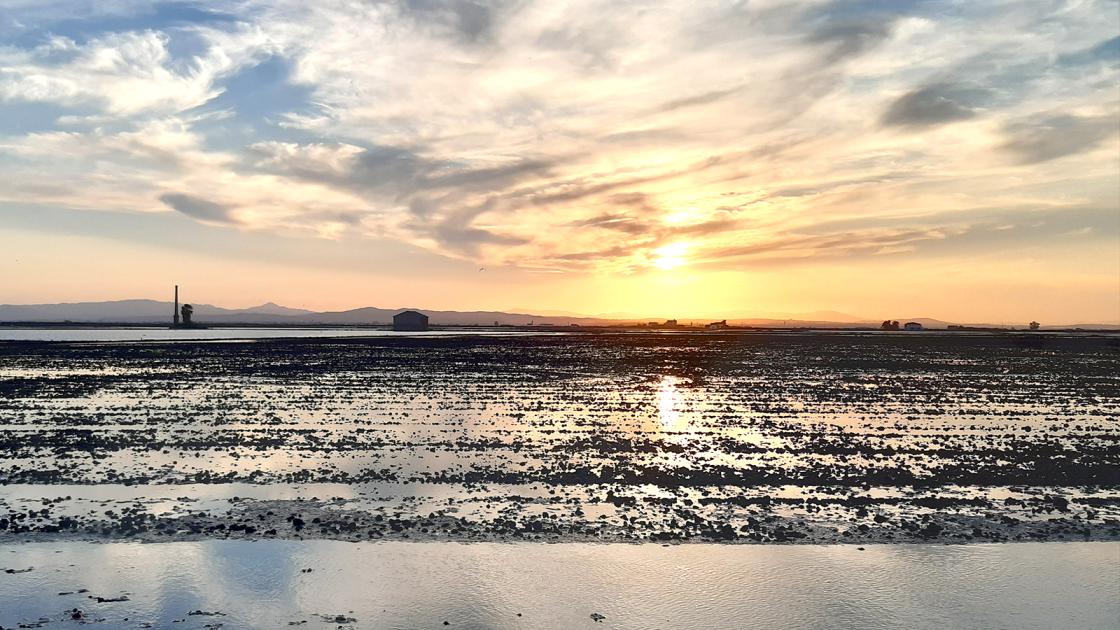 Albufera de Valencia
