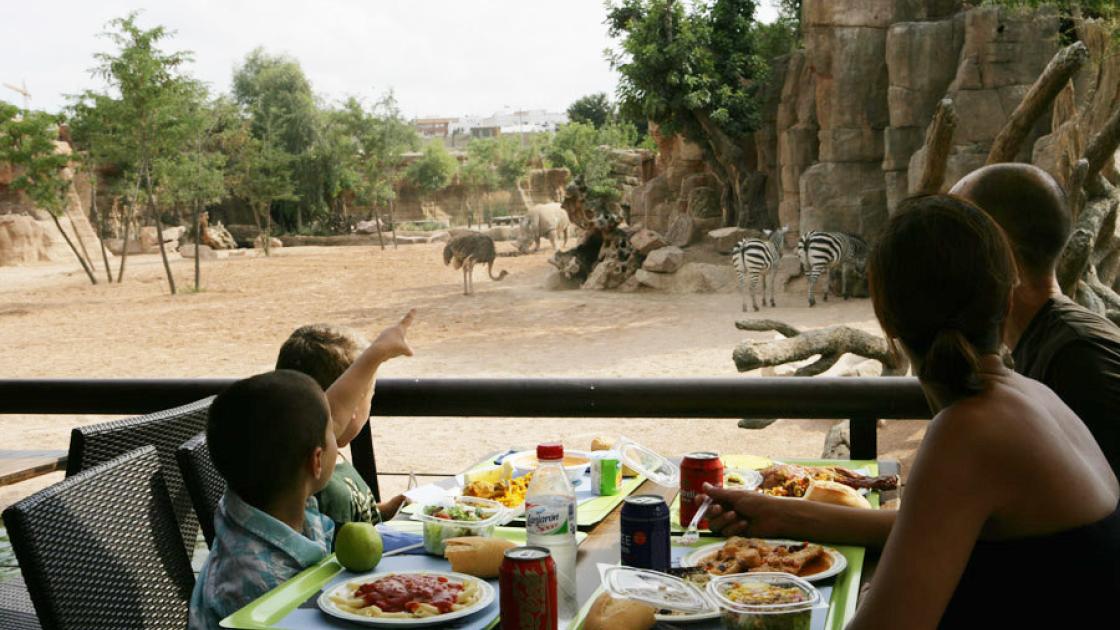 Bioparc Valencia Restaurant