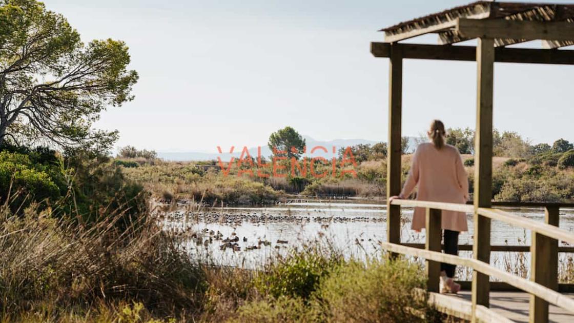 Reapertura de la reserva natural Tancat de la Pipa en València
