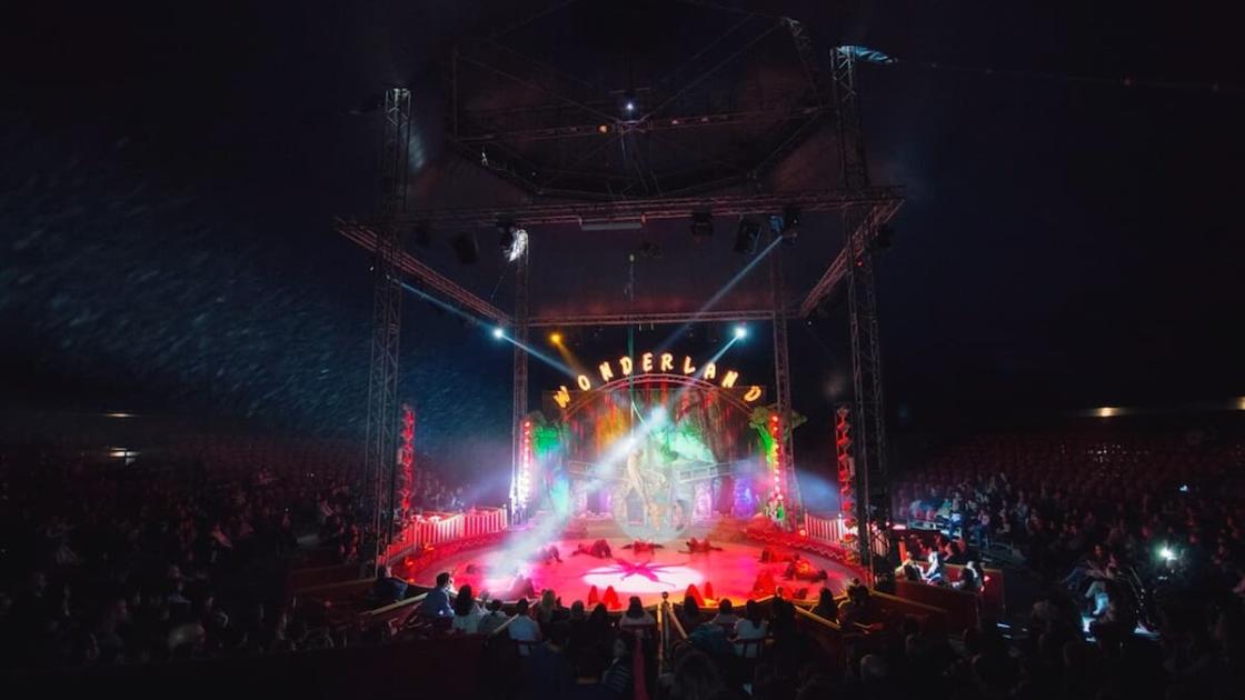 Circo Navidad