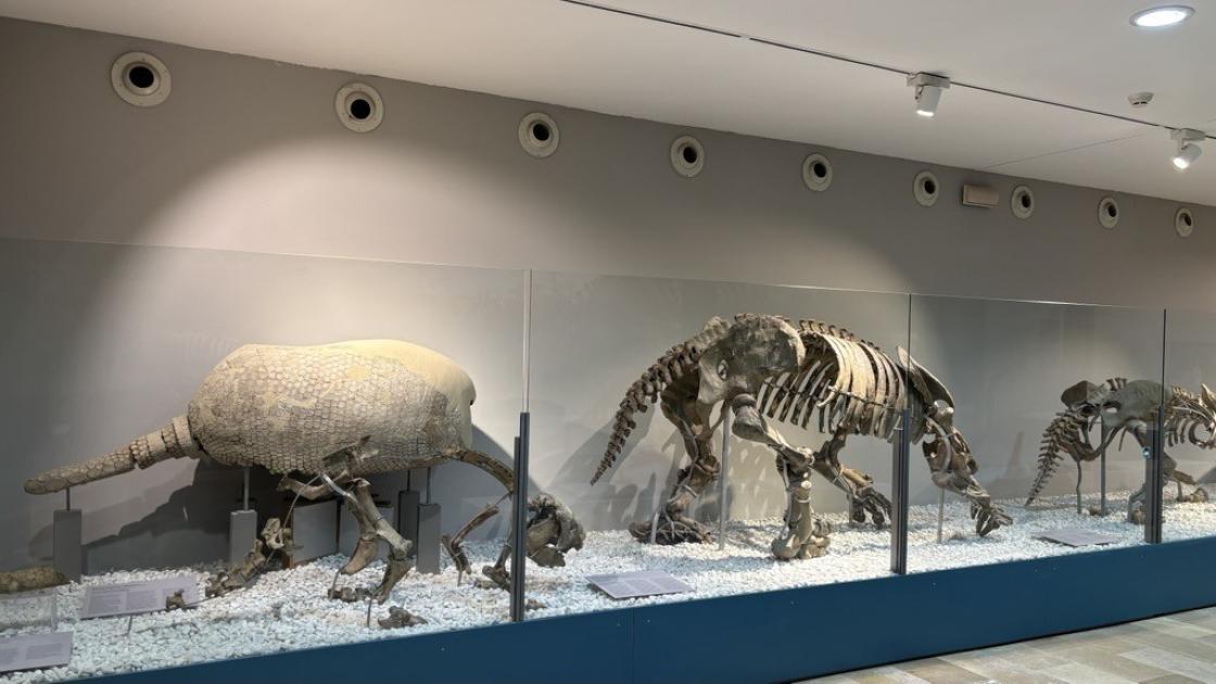 dinosaurios museo de las ciencias