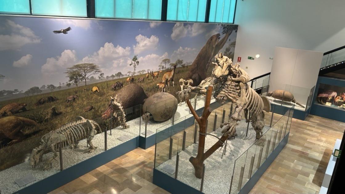 dinosaurios museo de las ciencias
