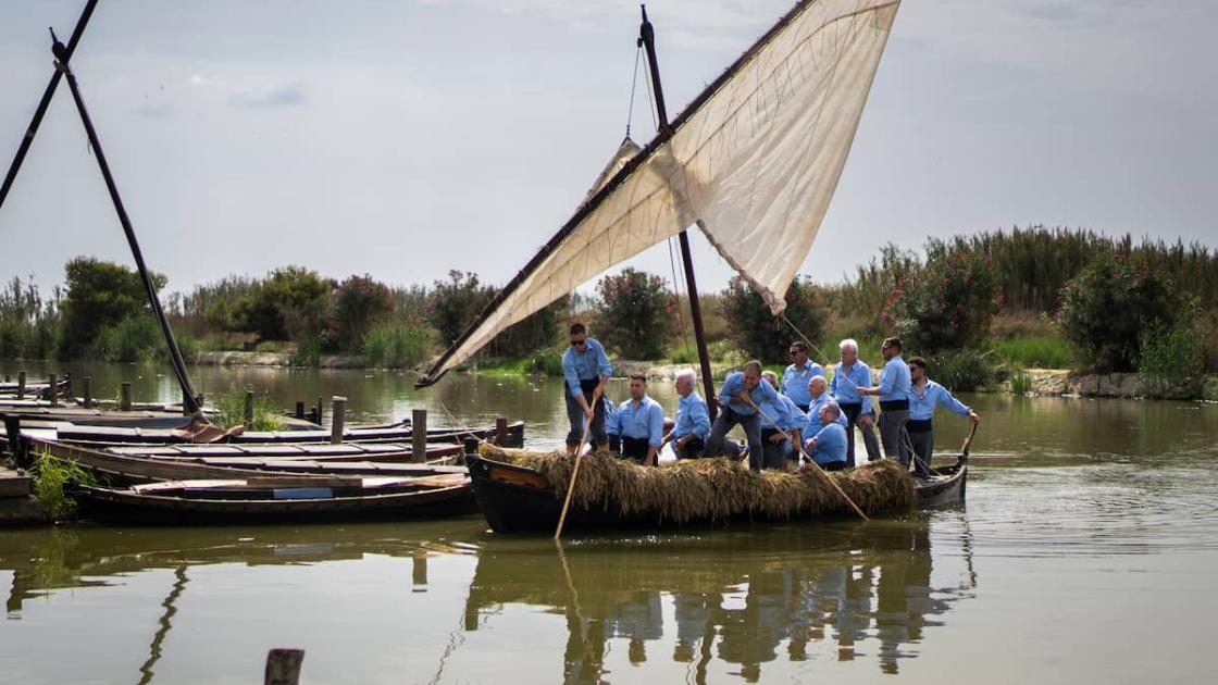 Fiesta de la Siega 2026 en L'Albufera de València