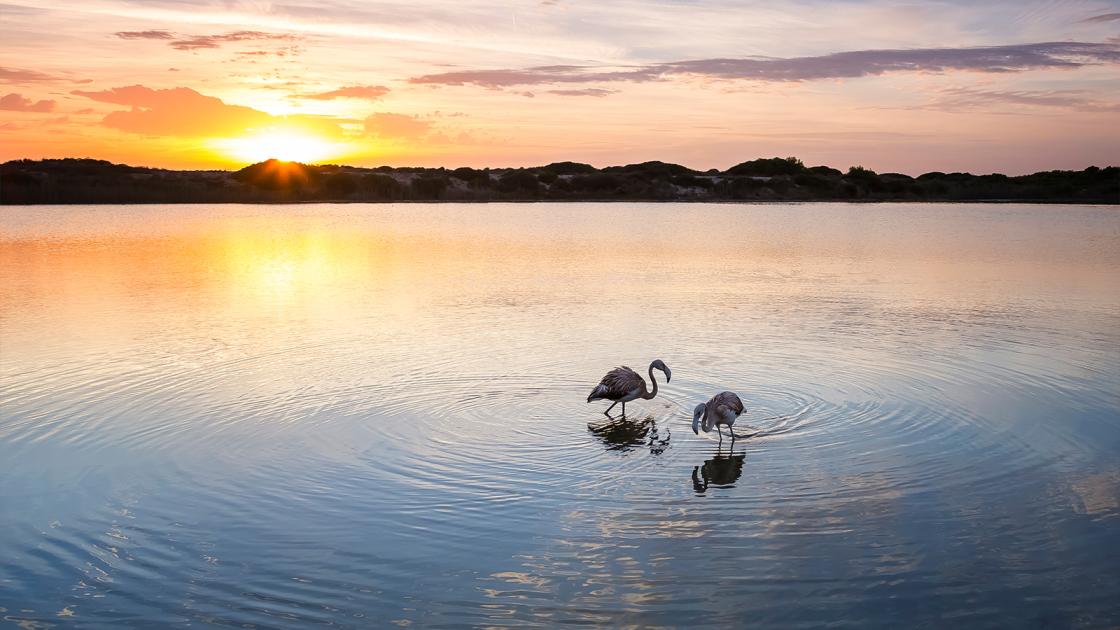 Albufera Valencia