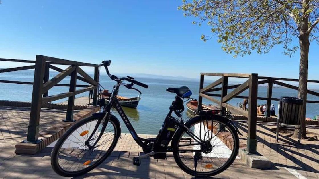 Bicicleta en un embarcadero de la Albufera