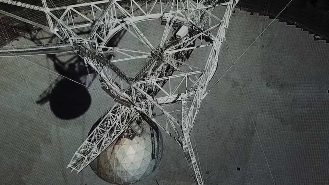 Exposición «Un mundo turbiamente vivo» en el IVAM