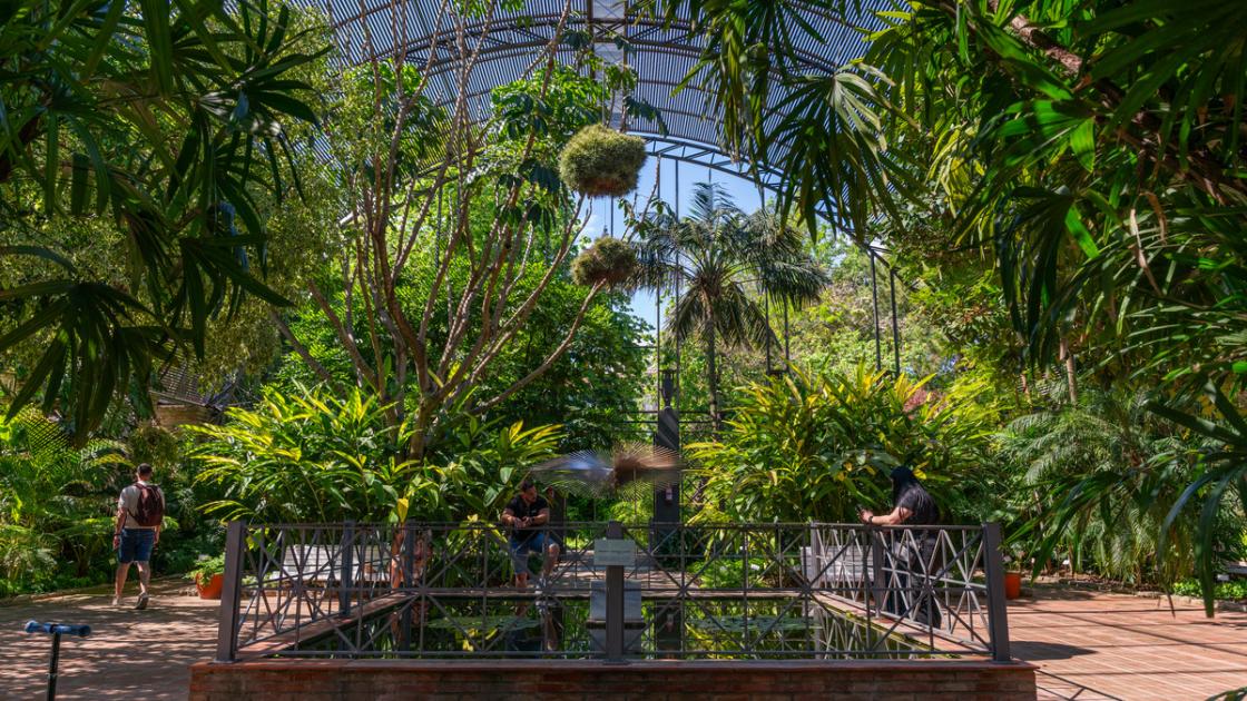 Jardin botanico