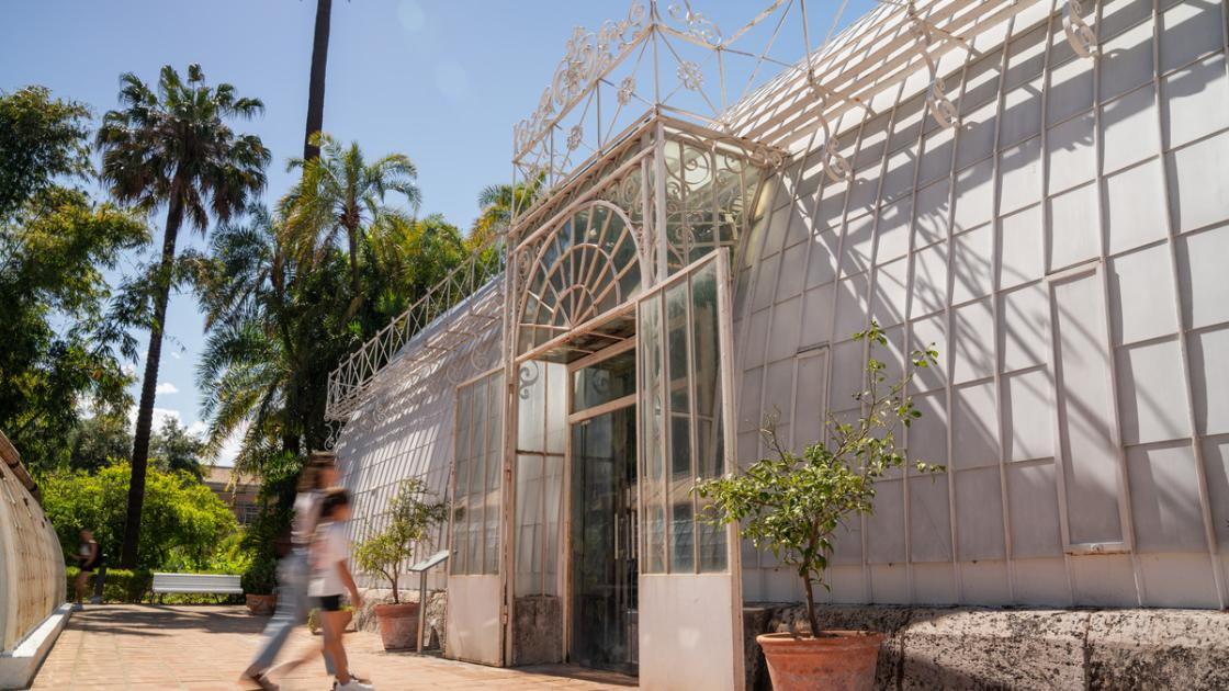 Jardin botanico