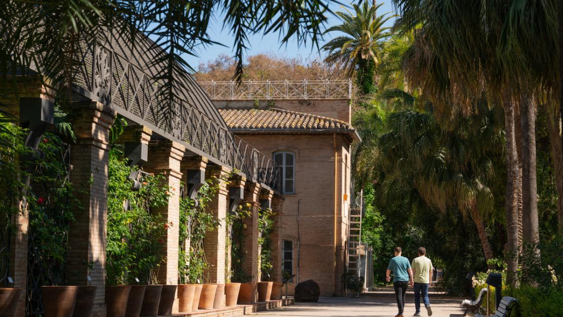 Jardin botanico
