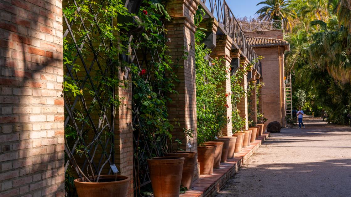 Jardin botanico