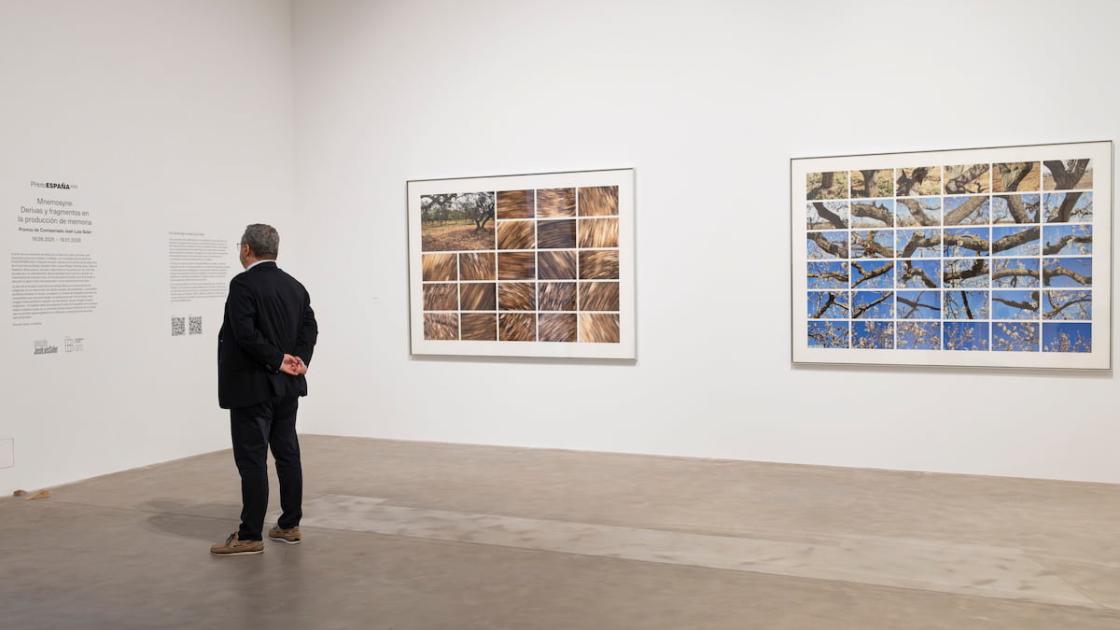 Exposición «Mnemosyne» en València
