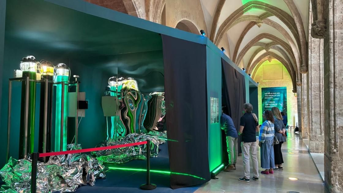 Exposición Microalgas Valencia