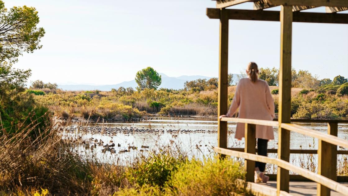 Albufera de Valencia