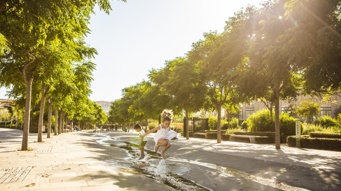 Parque Central de Valencia