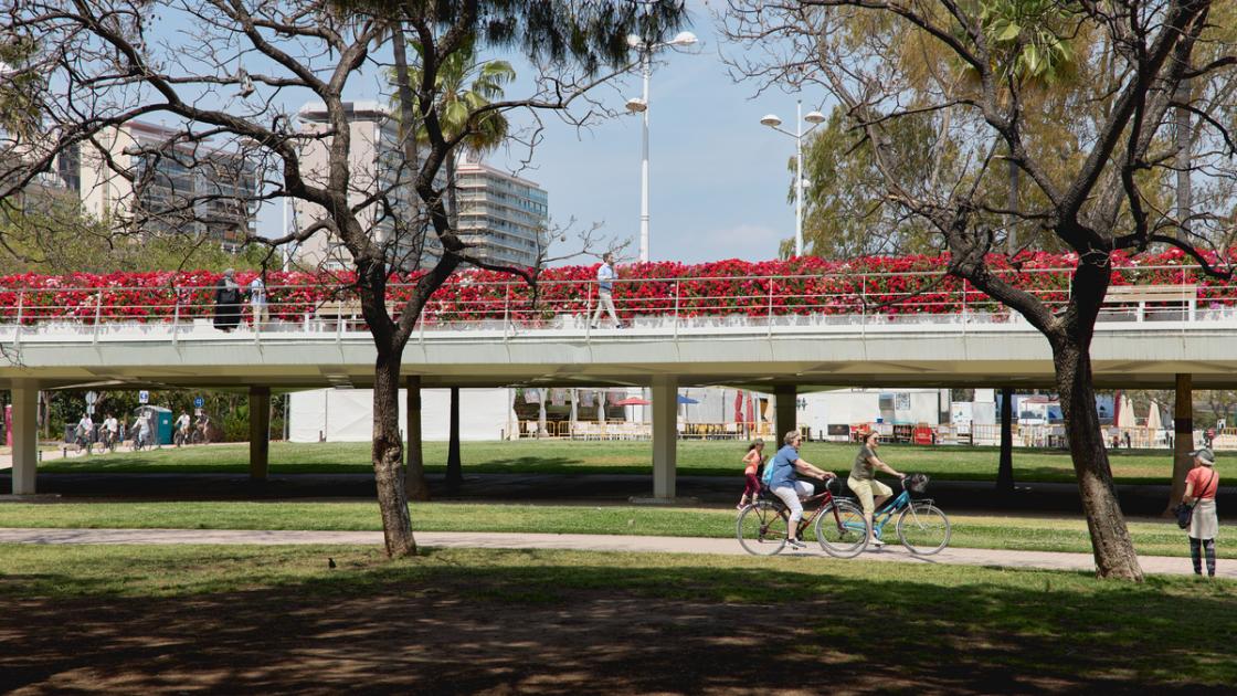 Puente de las flores