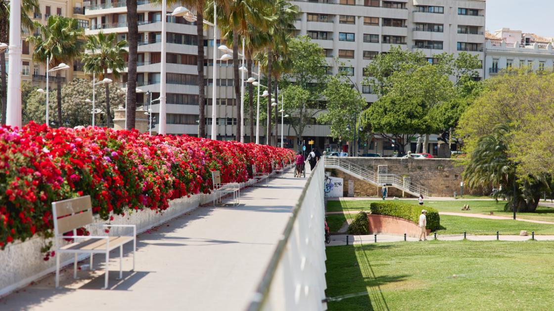 Puente de las flores