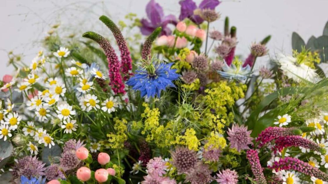 Copa de España de Arte Floral en València
