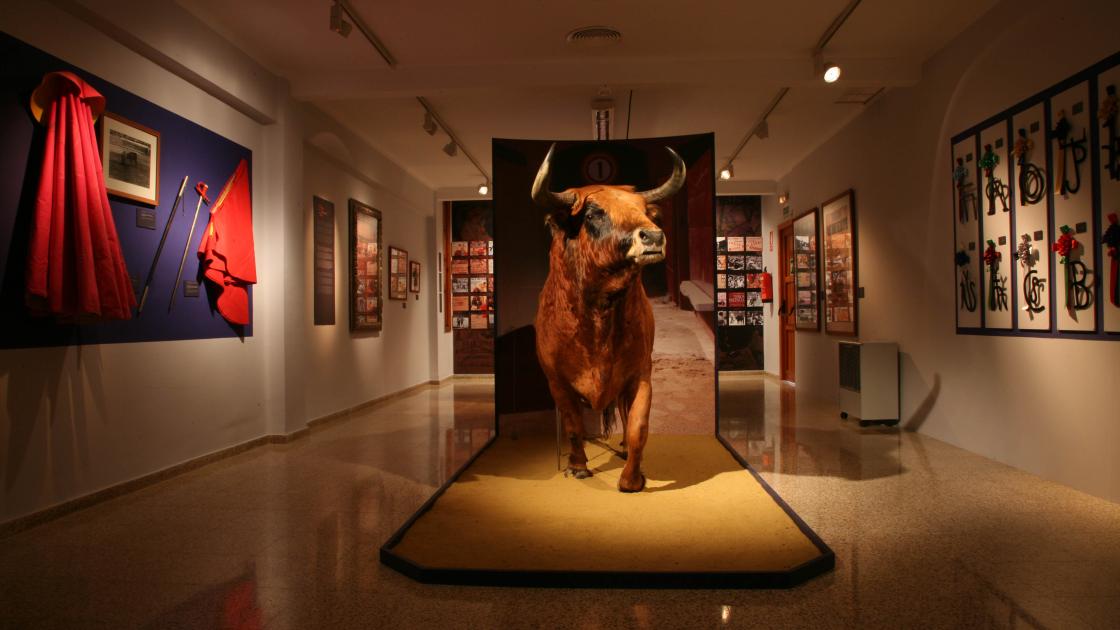 Museo Taurino