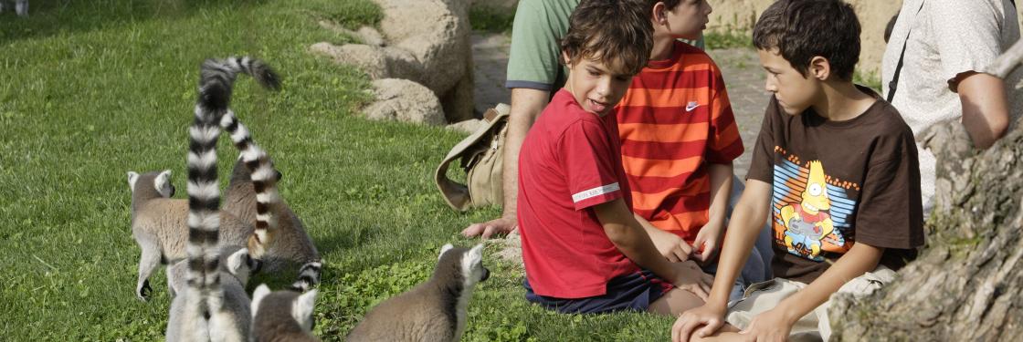 Bioparc valencia