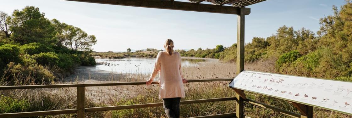 Racó de L Olla Tancat de la Pipa naturaleza albufera