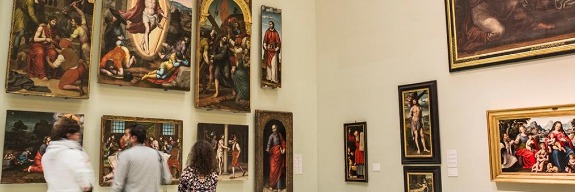 Museo banner museo bellas artes