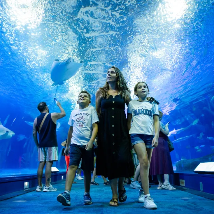 Oceanogràfic con niños