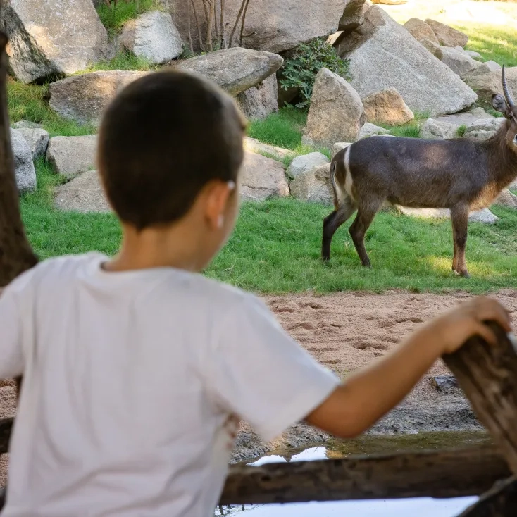 Bioparc con niños 