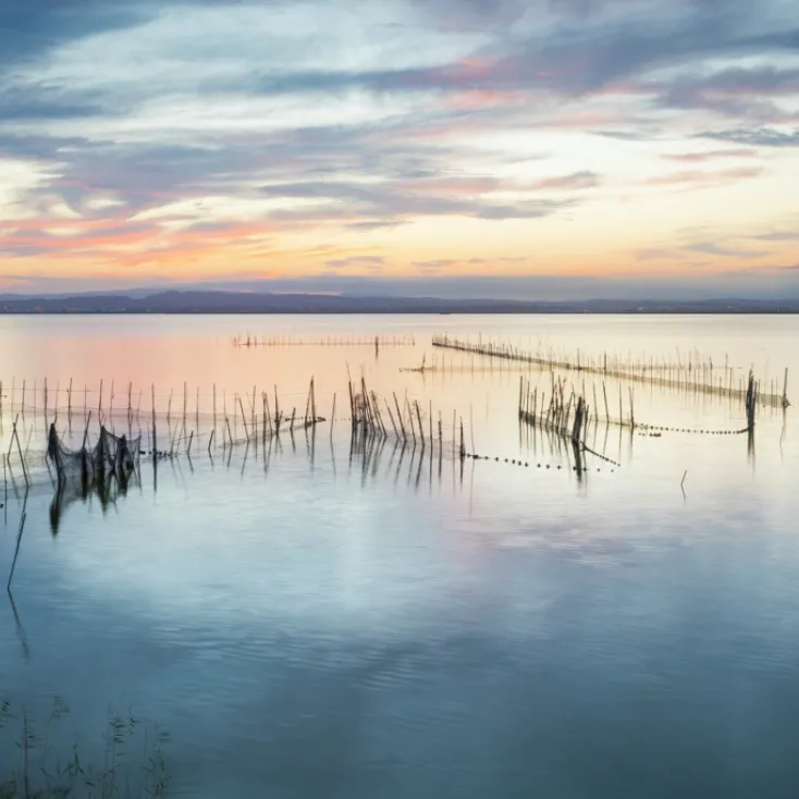 Albufera Valencia