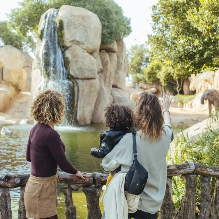Bioparc Valencia