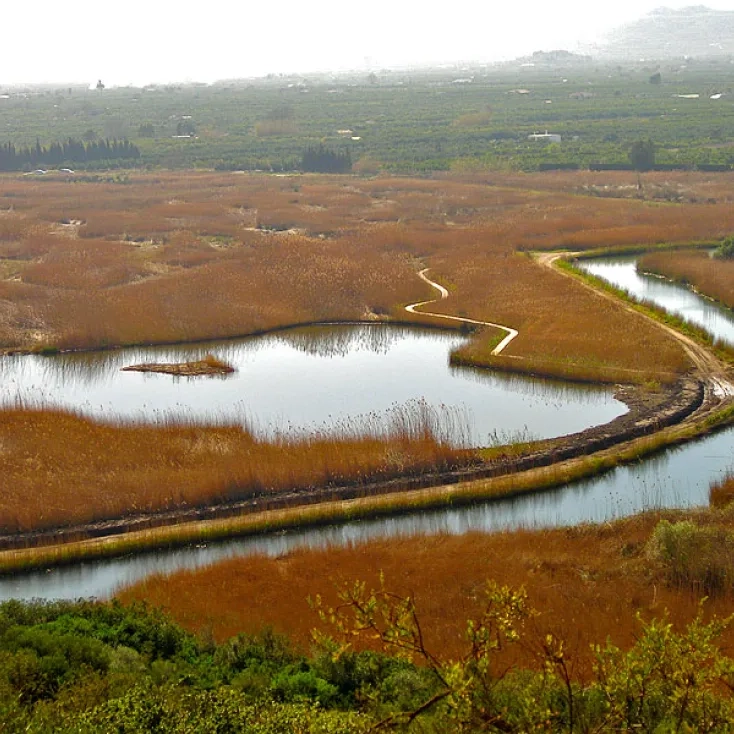 Parque Natural de la Marjal de Pego-Oliva