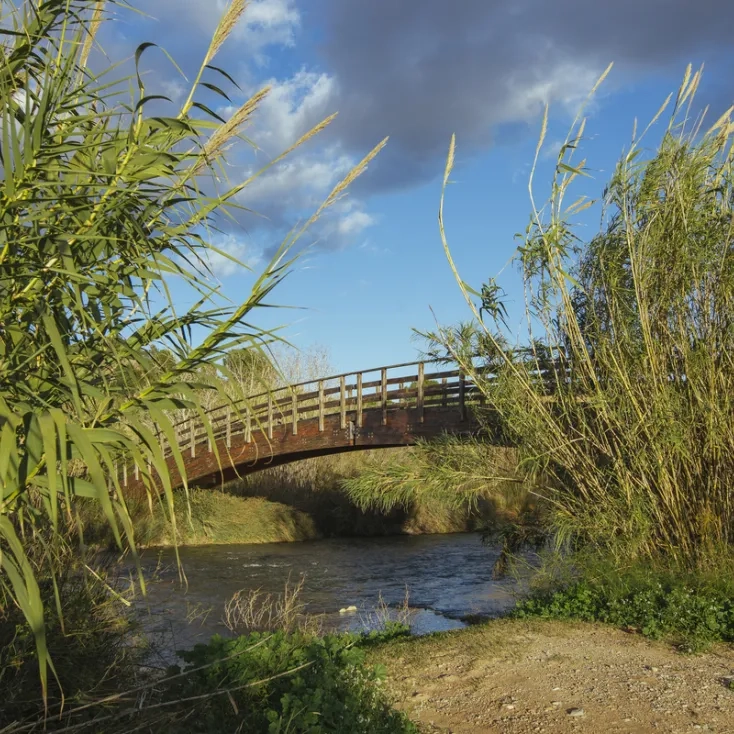 Parque fluvial Turia