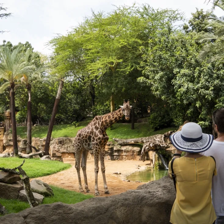 Familia en Bioparc Valencia