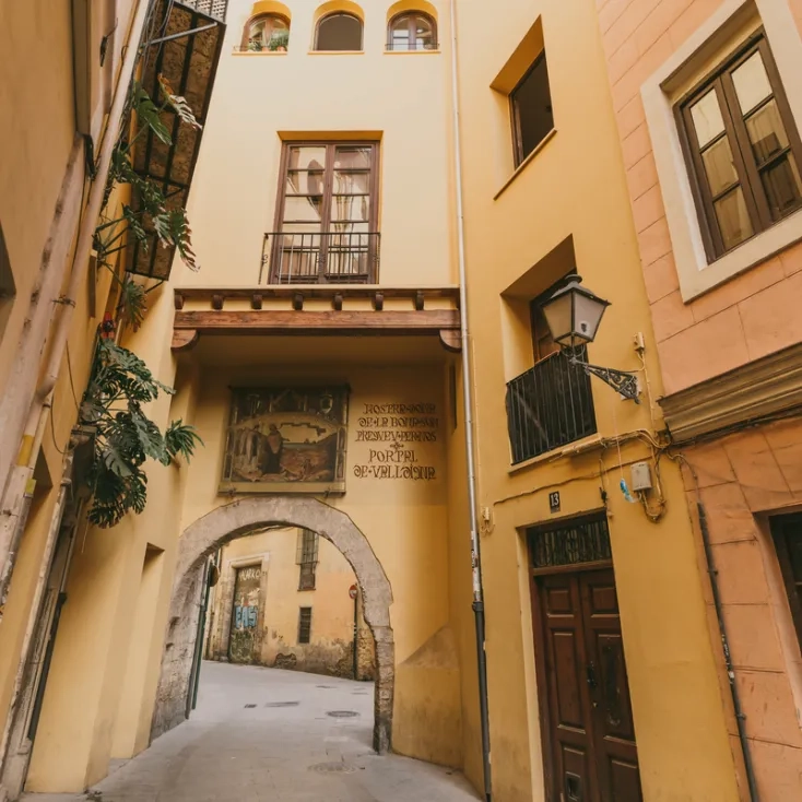 Portal Valldigna