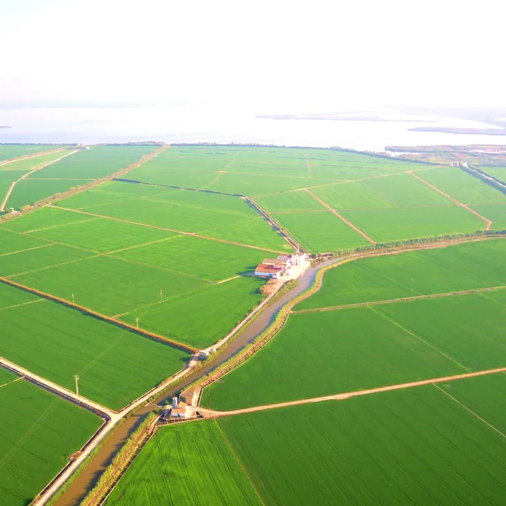 Albufera de Valencia