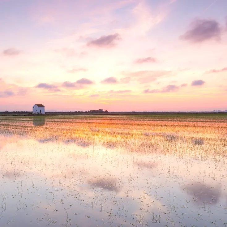 Albufera de Valencia