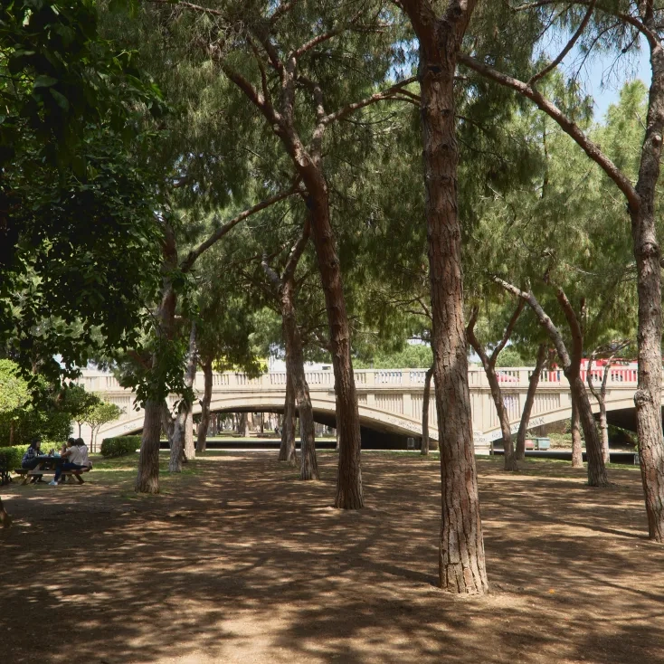 Jardín del Turia sombra