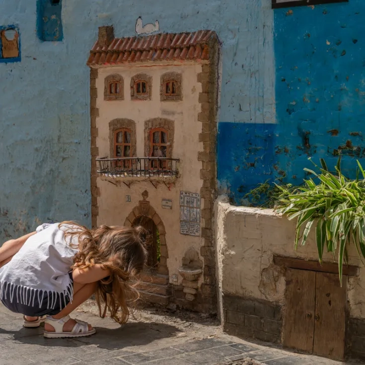 La casa de los gatos