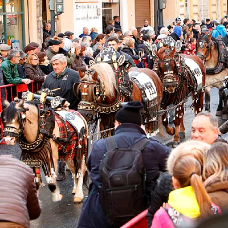 Fiestas de San Antonio Abad - Caballos