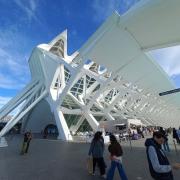 Recorrido exterior amplio y libre de obstáculos.