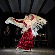 bailaora durante espectáculo en la bulería