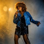 «Simply The Best» rinde homenaje a Tina Turner en Roig Arena