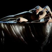 Migrats Circ 2025: circo contemporáneo en València