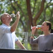 «Wine Market» en València 