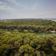Paseo guiado con los guardas forestales de la Devesa 