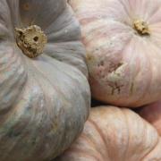 Fiesta de la Calabaza en València